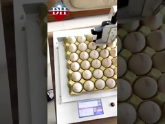 چاپگر کوچک جوهر افشان تخم مرغ Xy محور چاپگر جوهر افشان تخم مرغ هوشمند کاملا اتوماتیک