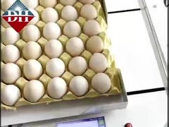 چاپگر کوچک جوهر افشان تخم مرغ Xy محور چاپگر جوهر افشان تخم مرغ هوشمند کاملا اتوماتیک